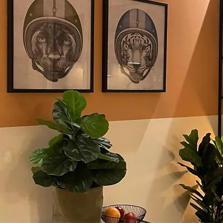 At Smilla - Boutique Mit Kueche - Parken - Klima - Netflix - Waschmaschine Apartment Wiesbaden