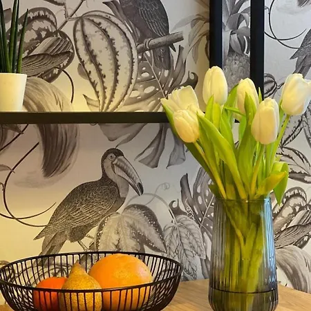 At Smilla - Boutique Mit Kueche - Parken - Klima - Netflix - Waschmaschine Apartment Wiesbaden